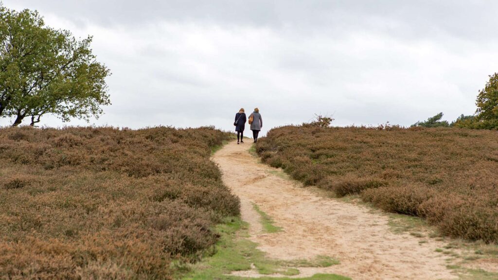 Zwei Menschen gehen nebeneinander auf einem Sandweg durch eine braune, grasbewachsene Landschaft unter einem wolkenverhangenen Himmel, mit viel Grün und einem Baum zur Linken - ganz so, als würden sie mit einem kreativen Webdesign Aachen Partner neue Ideen erkunden.