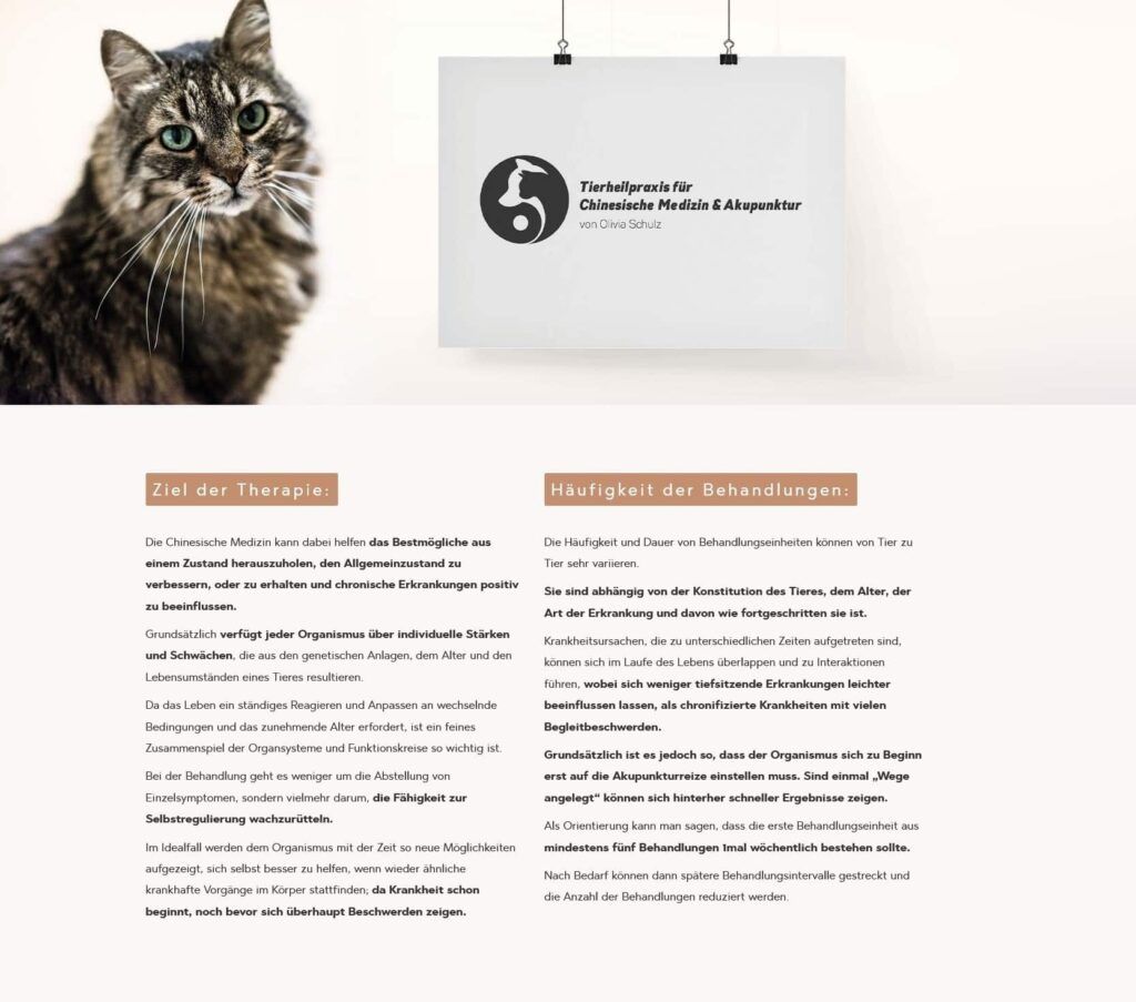 Eine getigerte Katze mit grünen Augen blickt neben einem Praxisschild für Traditionelle Chinesische Medizin & Akupunktur in die Kamera. Darunter ein deutscher Text über Therapieziele und Behandlungshäufigkeit - idealer Inhalt für ein Webdesign Aachen-Projekt.